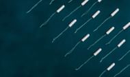 These tampons can be used for screening 5 types of STIs (Image via Unsplash/ Josefin)